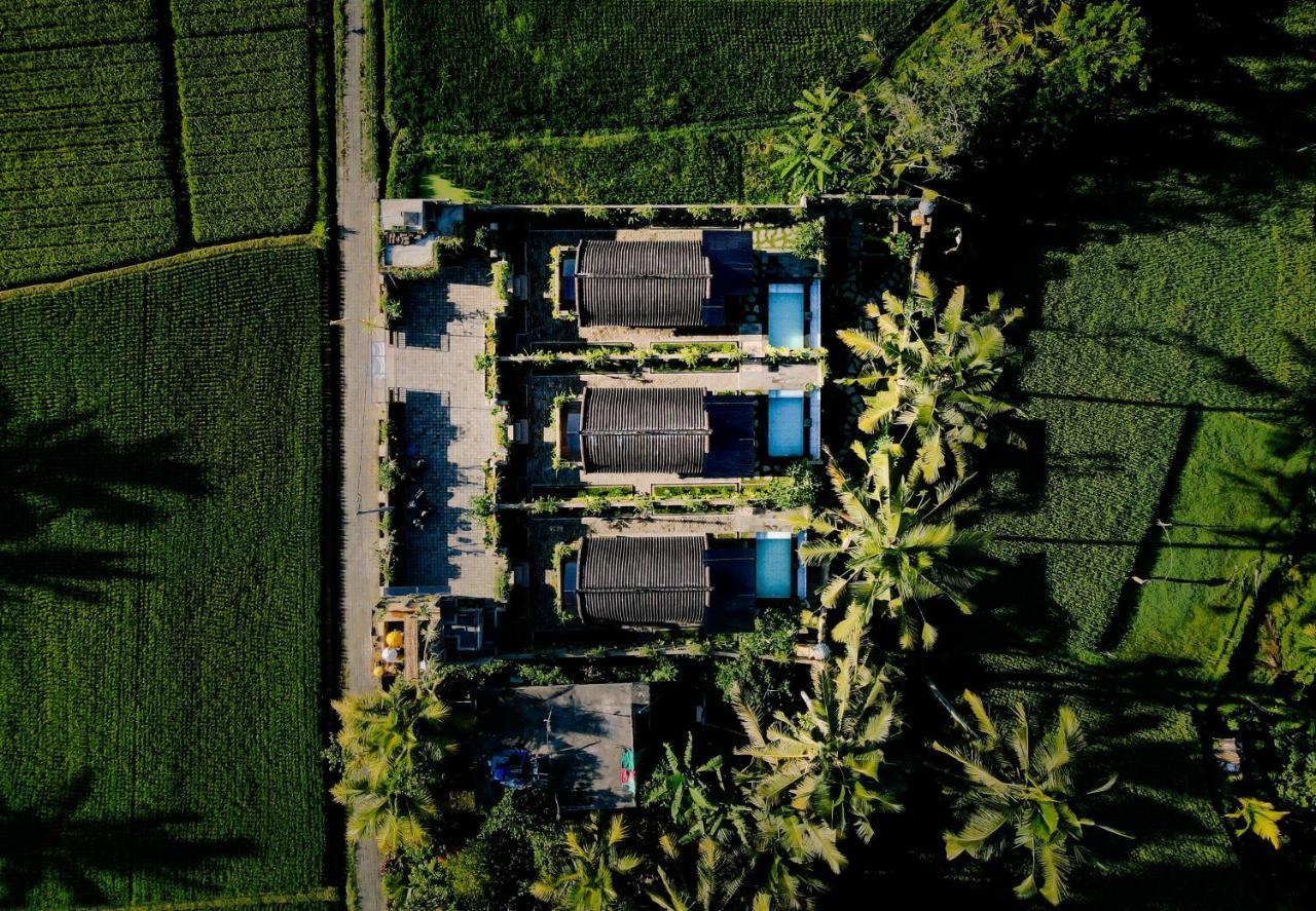 Villa Alvia Joglo House & Private Pool Tampaksiring Esterno foto